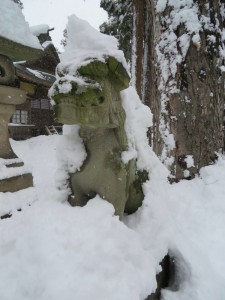 20131215kogai2