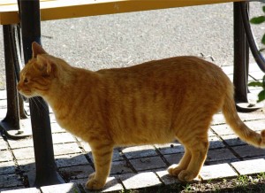IMGP8669