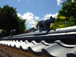 IMGP7941