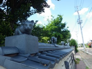 IMGP7947