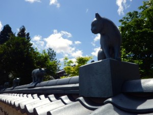IMGP7948