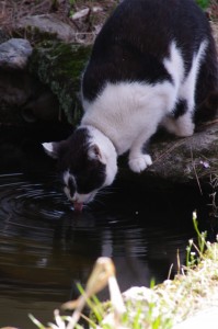 IMGP8535