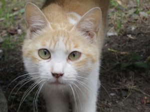 IMG_0573001