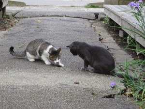 IMG_2322