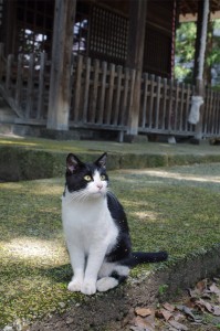 IMGP8995