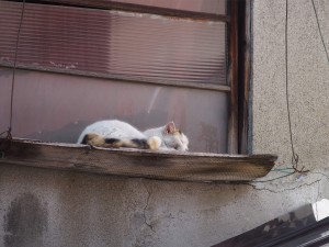 P3270508