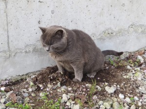 IMG_5021