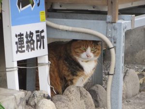 IMG_5858