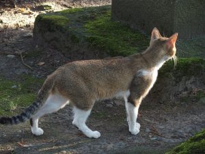 P6180044