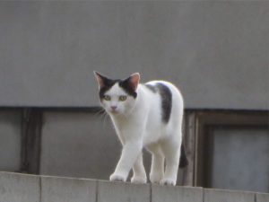 IMG_1639