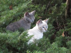 img_1923