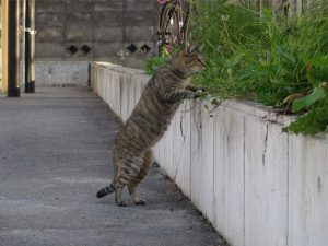 img_1006