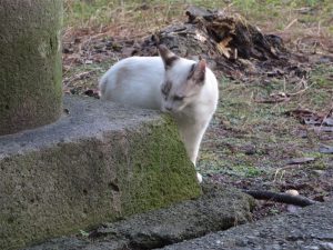 img_1029
