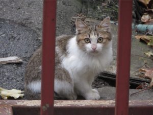 img_1385