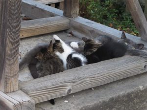 img_1807